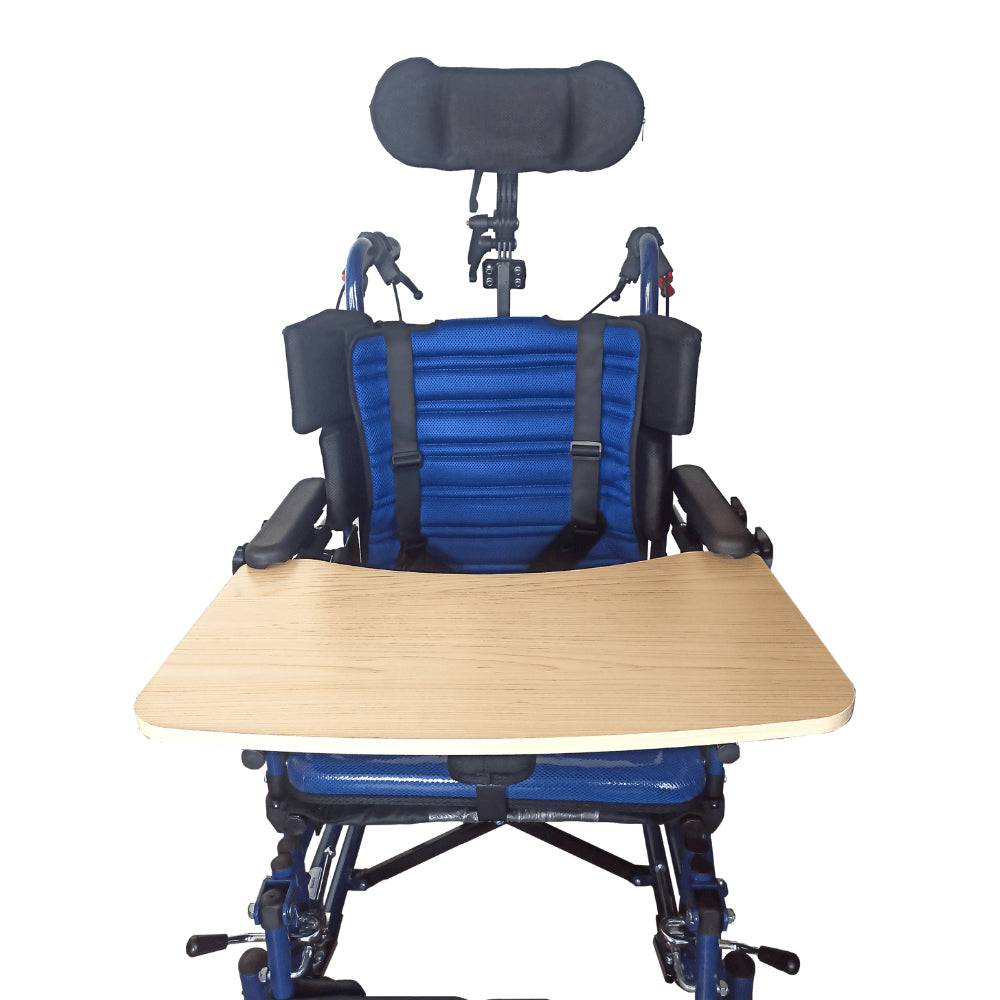 Karma CP 300 Cerebral Palsy Wheelchair For Adult