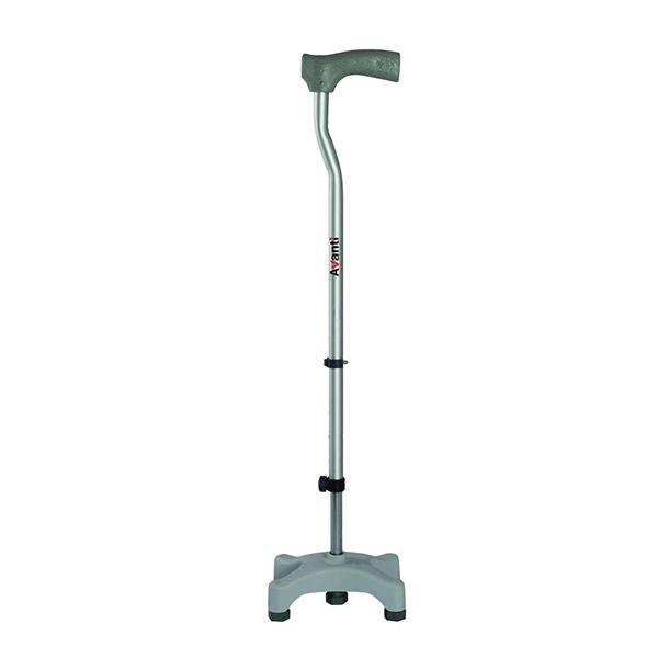 Walking stick