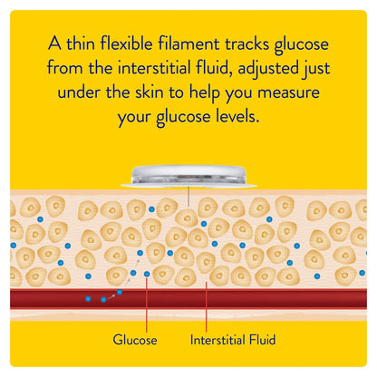 Abbott | FreeStyle Libre CGM Sensor | A Smart Alternative to Traditional Glucose Monitoring | Continuous Glucose Tracking Day & Night | Helps with Better Diabetes Management | No Finger Pricks Required1 | Pack of 2