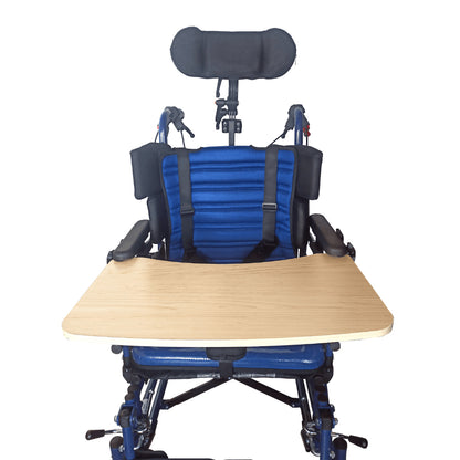 Karma CP 300 Cerebral Palsy Wheelchair For Adult