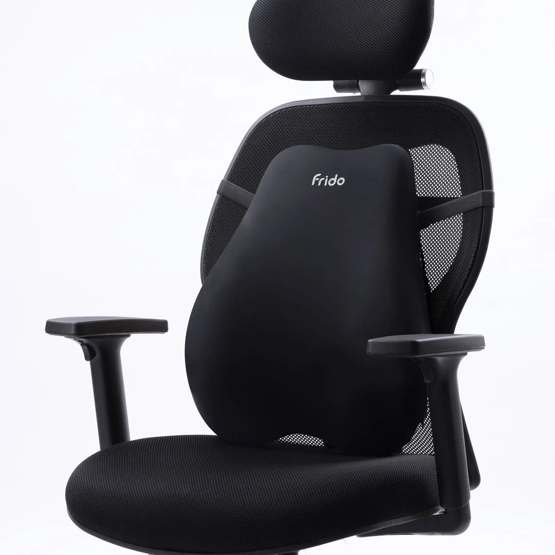 Frido Cloud Backrest Cushion
