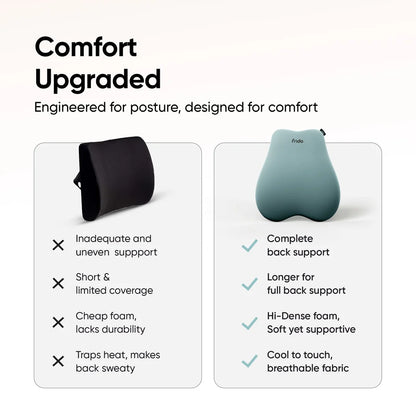 Frido Cloud Backrest Cushion