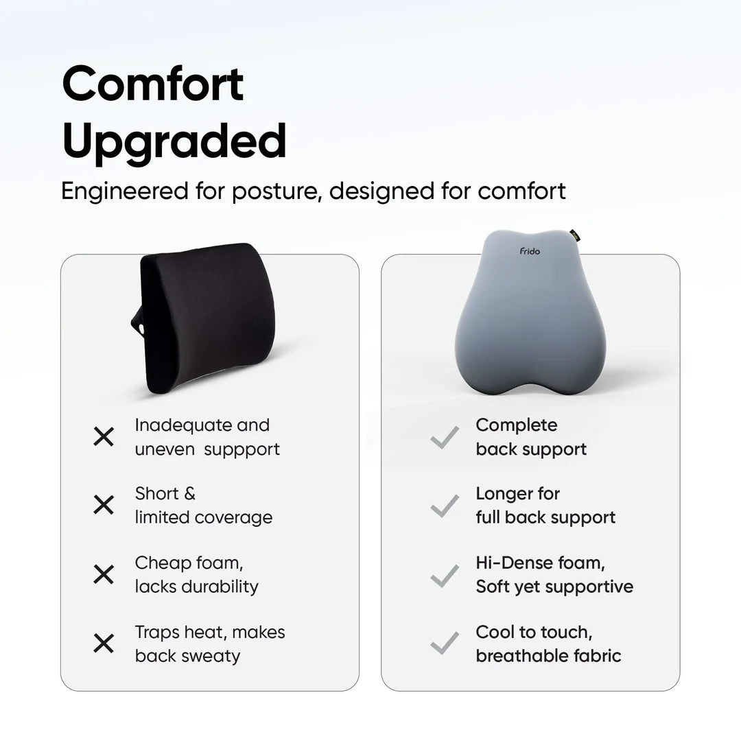 Frido Cloud Backrest Cushion