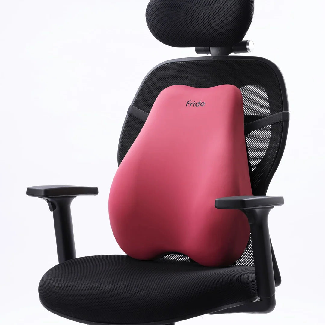 Frido Cloud Backrest Cushion