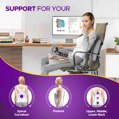 Frido Ultimate Back Lumbar Cushion