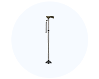 Walking Stick