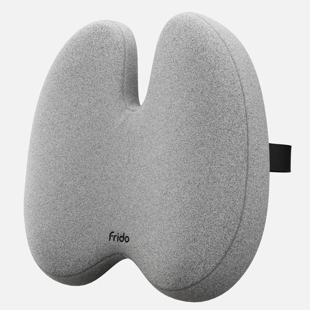 Frido Ultimate Pro Posture Corrector